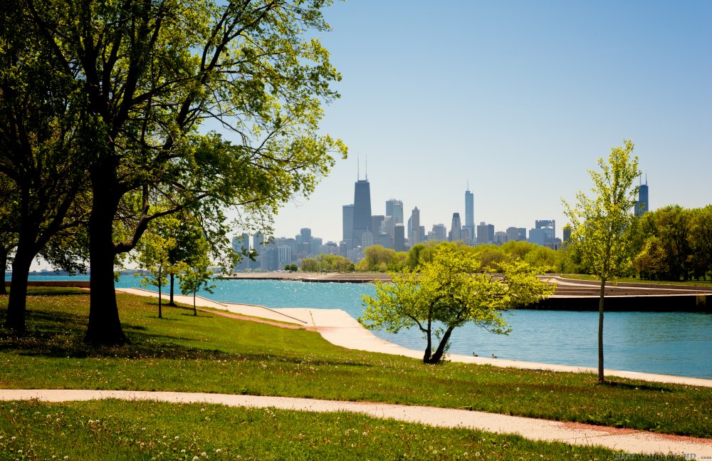 Ausgezeichnete und lebendiges Bild des Parks in Chicago