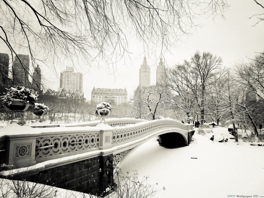 Gran imagen de pantalla ancha invierno cubierto de nieve de Central Park