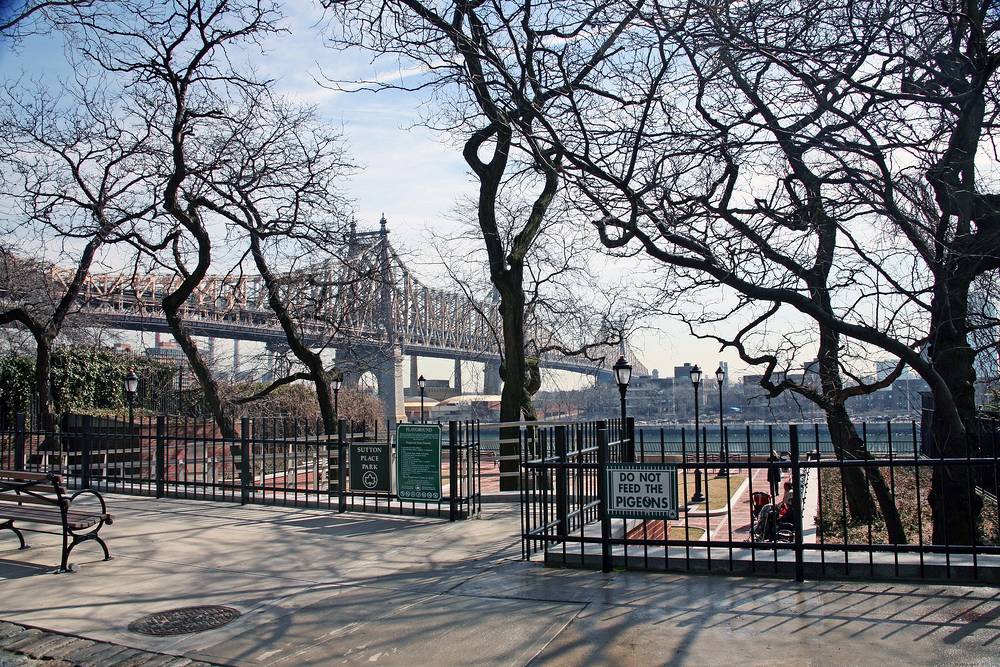 Der Park in New York.