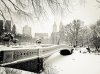 La grande image panoramique hiver neigeux de Central Park